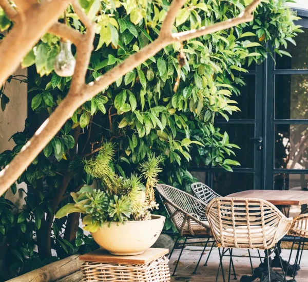 Top Courtyard Focus Ideas for Elegant Spaces