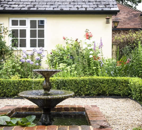 Essential Courtyard Focus Changes for Better Yards