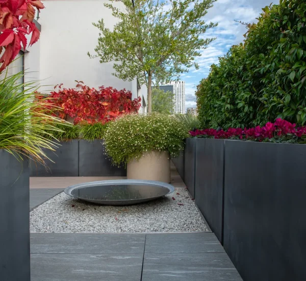 Smart Courtyard Focus Ideas for Relaxing Yards